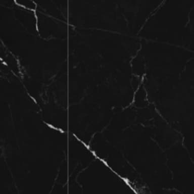 SPANISH BLACK AND WHITE ROOT